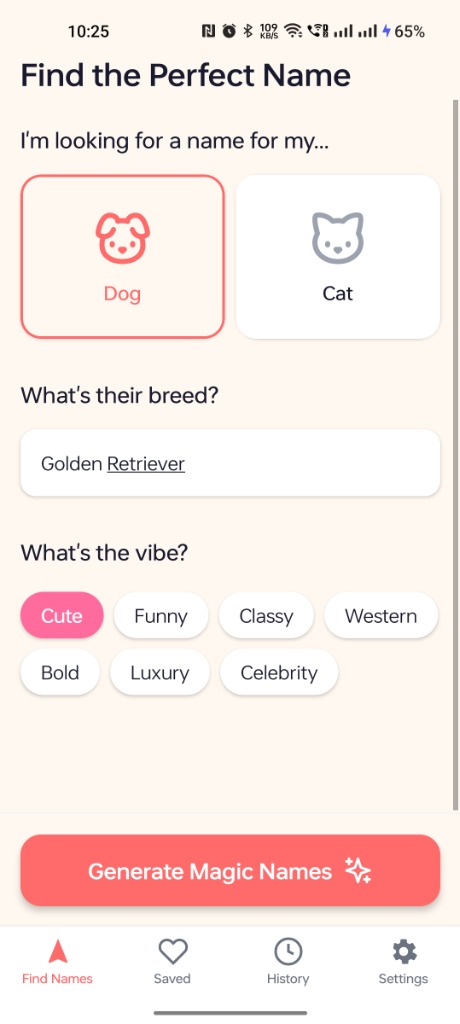 Find the Perfect Name screen